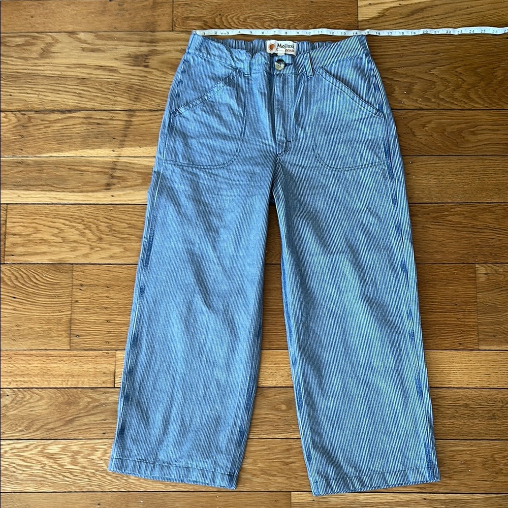 Mollusk Painter Pants